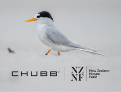 NZNF (248 x 188 px).png